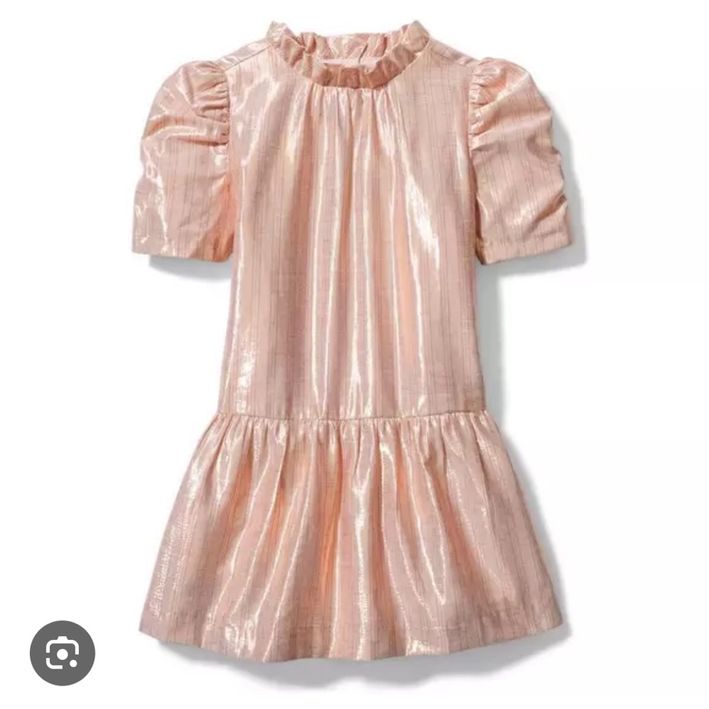 Janie and Jack puff sleeve dress